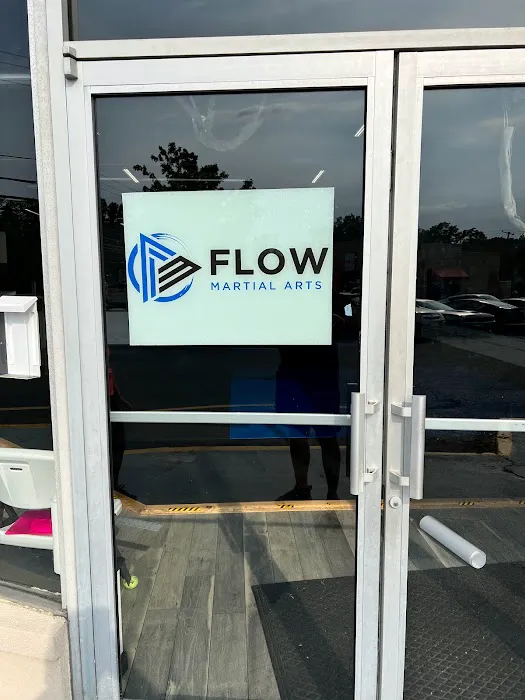 Flow Martial Arts, Jackson Picture 5