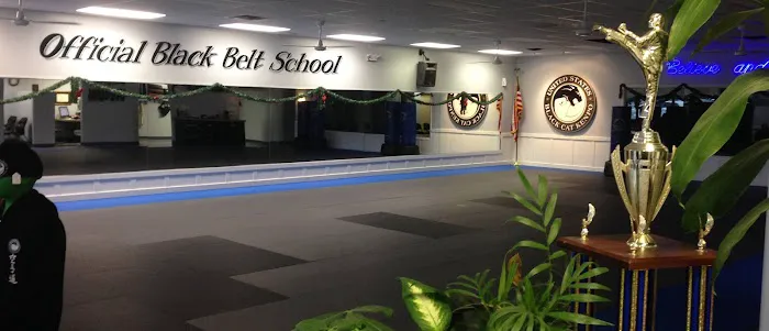 Art Beins Karate & Kickboxing Picture 4