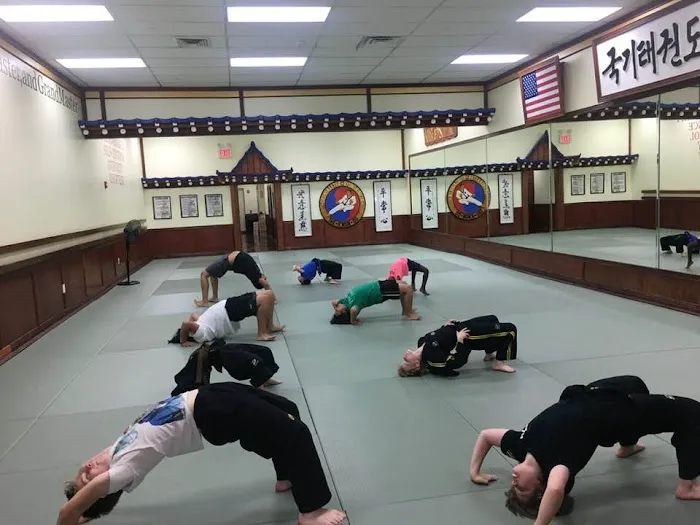 Hwa-Rang Taekwondo of White Plains Picture 10