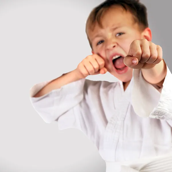Premier Martial Arts Scarsdale Picture 5