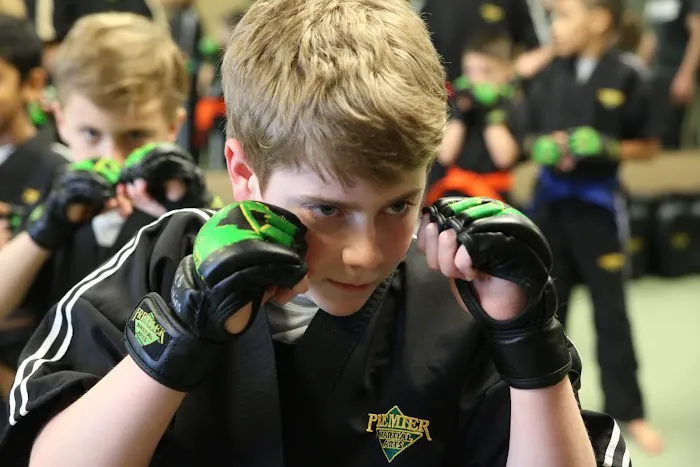 Premier Martial Arts Scarsdale Picture 7