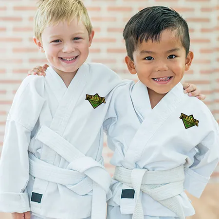 Premier Martial Arts Scarsdale Picture 6