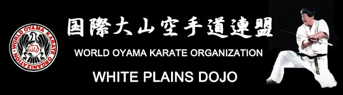 World Oyama Karate - White Plains Dojo Picture 3