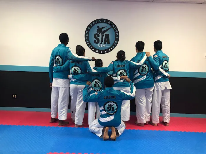 Steven's karate Academy Picture 3