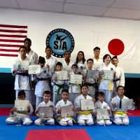 Steven's karate Academy ico
