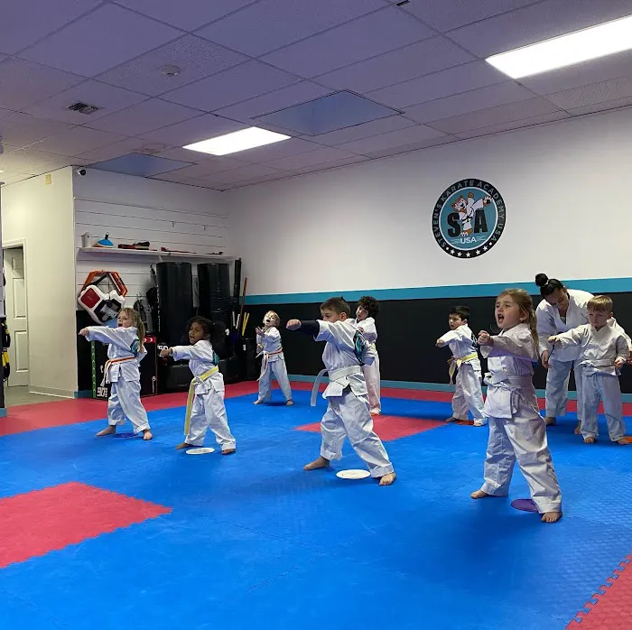 Steven's karate Academy Picture 7
