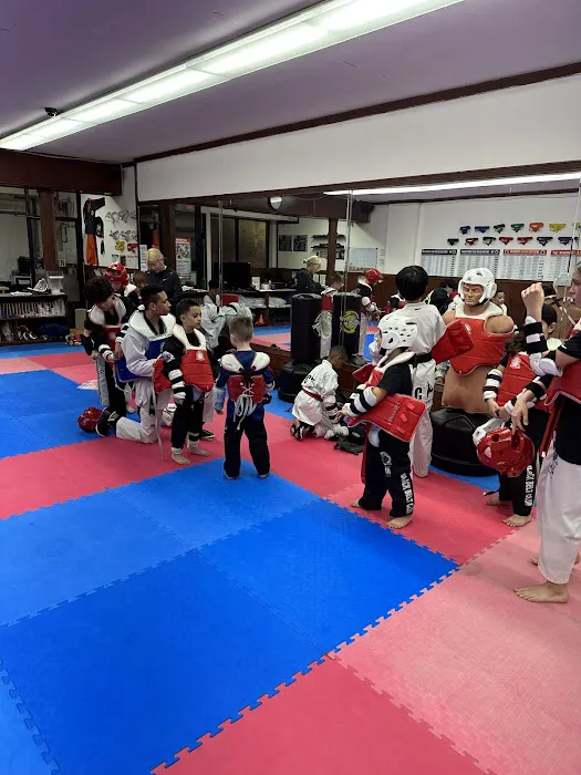 Champions Martial Arts Merrick Picture 7