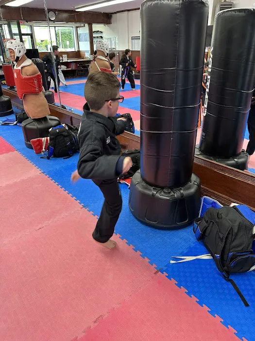 Champions Martial Arts Merrick Picture 9