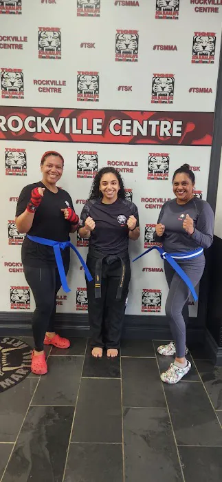 Tiger Schulmann's Martial Arts (Rockville Centre, NY) Picture 2