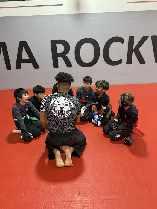 Tiger Schulmann's Martial Arts (Rockville Centre, NY) Picture 9