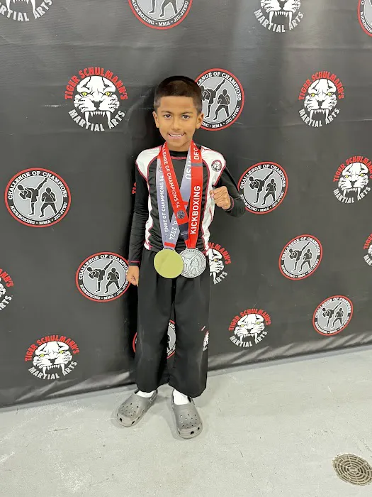 Tiger Schulmann's Martial Arts (Rockville Centre, NY) Picture 7