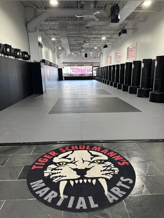 Tiger Schulmann's Martial Arts (Rockville Centre, NY) Picture 5