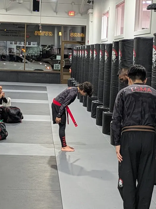 Tiger Schulmann's Martial Arts (Rockville Centre, NY) Picture 8