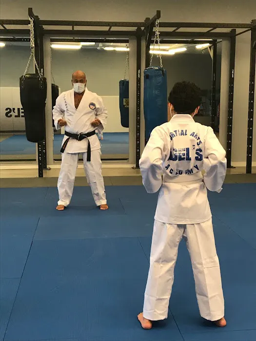 Adel’s Martial Arts Academy Picture 5