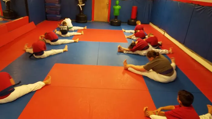 US Karate Academy Picture 3