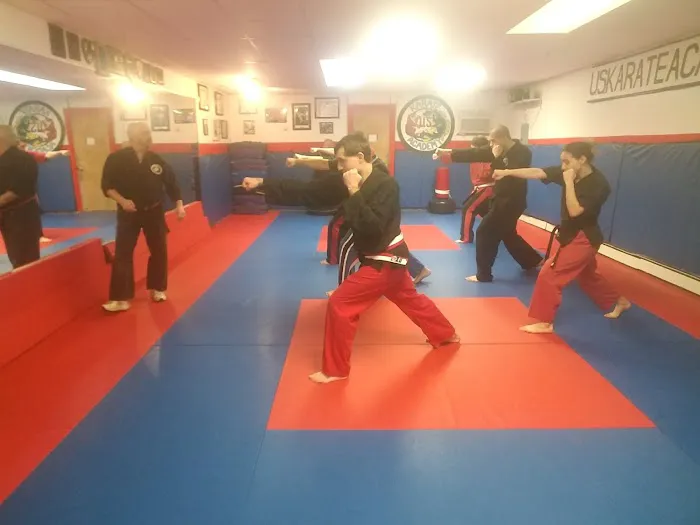 US Karate Academy Picture 5