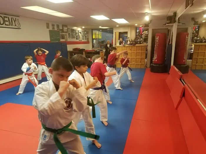 US Karate Academy Picture 6