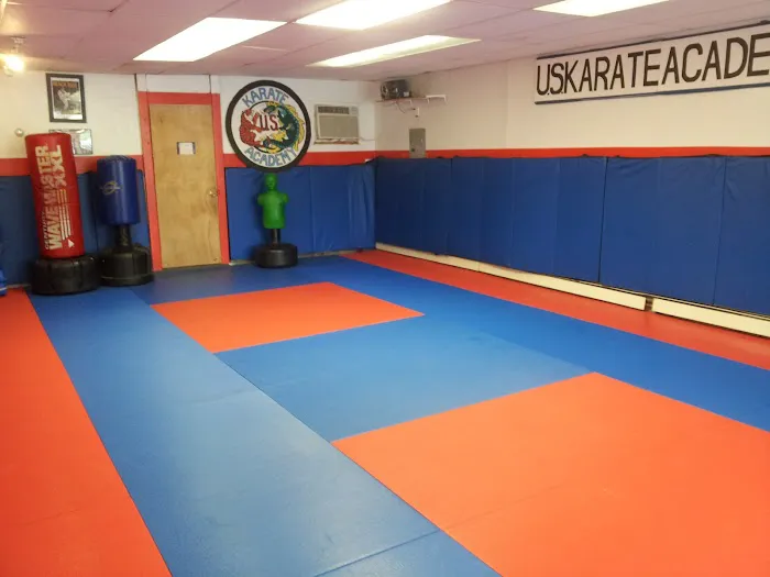 US Karate Academy Picture 2