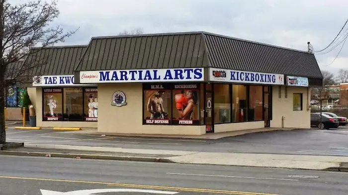 Champions Martial Arts Wantagh Picture 4