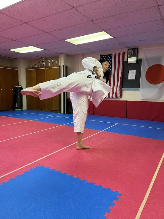 ELITE KARATE ACADEMY IKD Picture 2