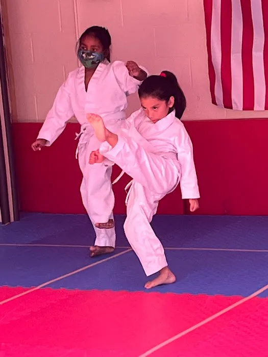 ELITE KARATE ACADEMY IKD Picture 5