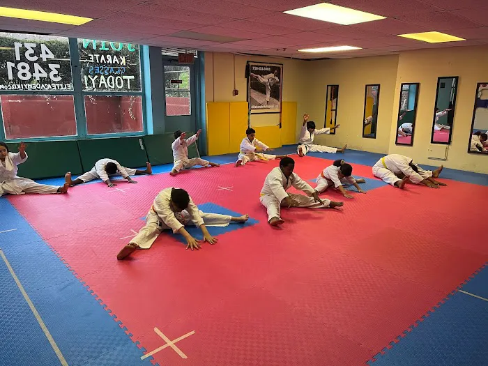 ELITE KARATE ACADEMY IKD Picture 9