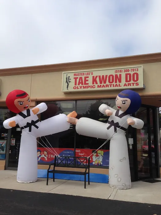 Master Lee's Tae Kwon Do Picture 8