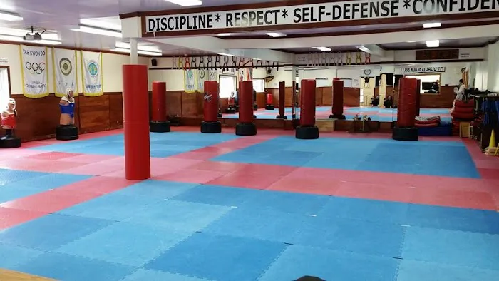 Champions Martial Arts Massapequa Park Picture 1