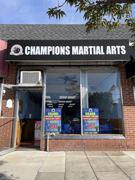 Champions Martial Arts Massapequa Park Picture 5
