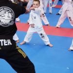Champions Martial Arts Hicksville