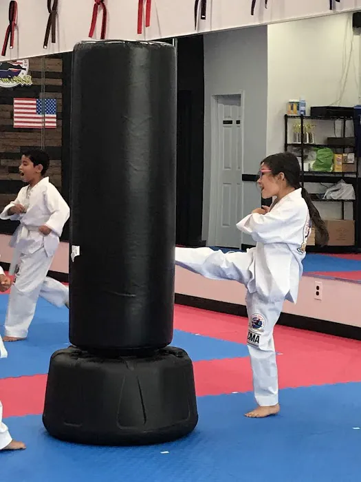Champions Martial Arts Hicksville Picture 4