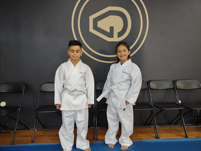 Go For It Martial Arts Picture 3