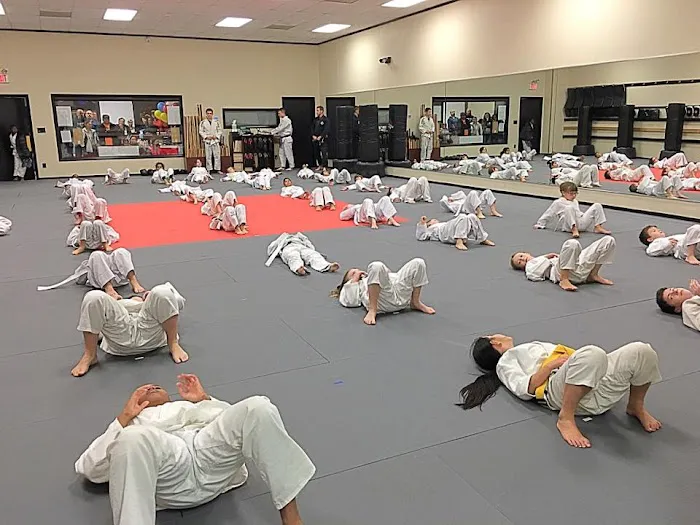 The Academy For Martial Arts Picture 4