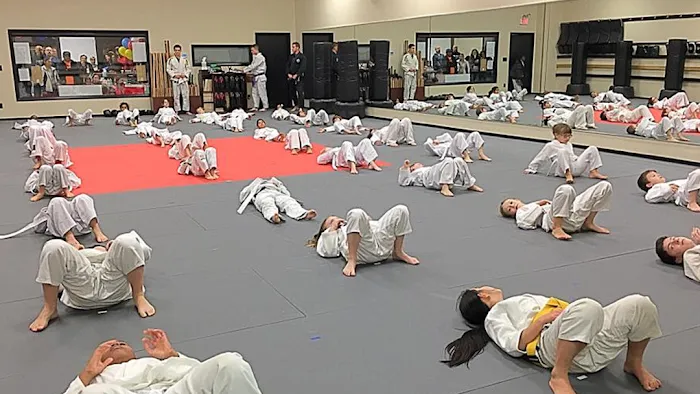 The Academy For Martial Arts Picture 7