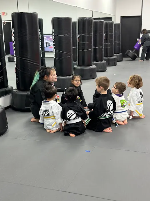 The Academy For Martial Arts Picture 5