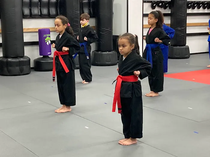 The Academy For Martial Arts Picture 9