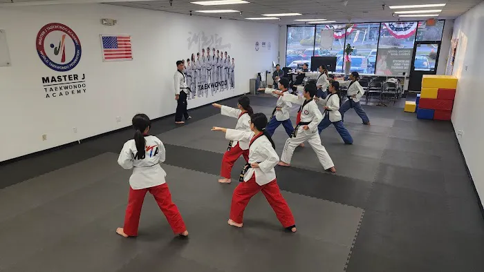 Master J Taekwondo Academy of Nanuet(One Taekwondo) Picture 10