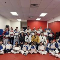 Elite Martial Arts Taekwondo ico