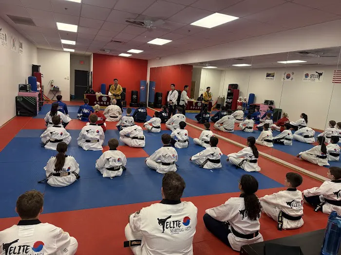 Elite Martial Arts Taekwondo Picture 3