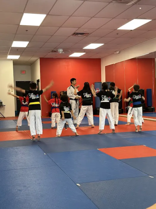 Elite Martial Arts Taekwondo Picture 4