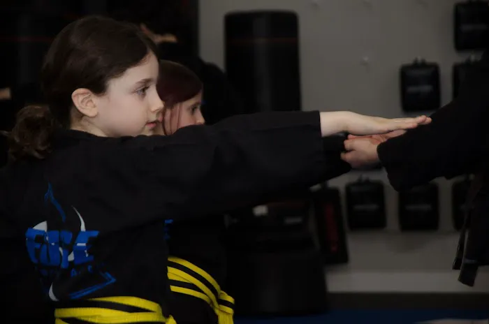 Edge Martial Arts Picture 1