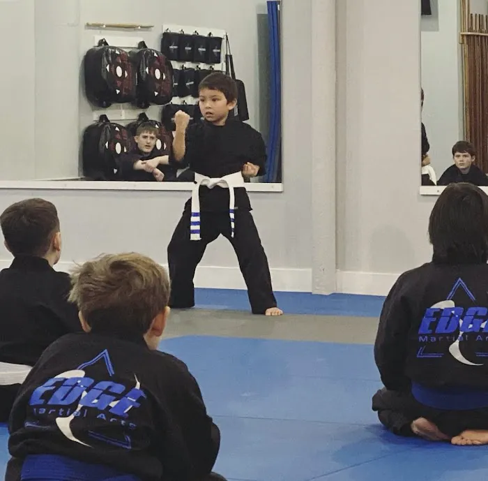 Edge Martial Arts Picture 4