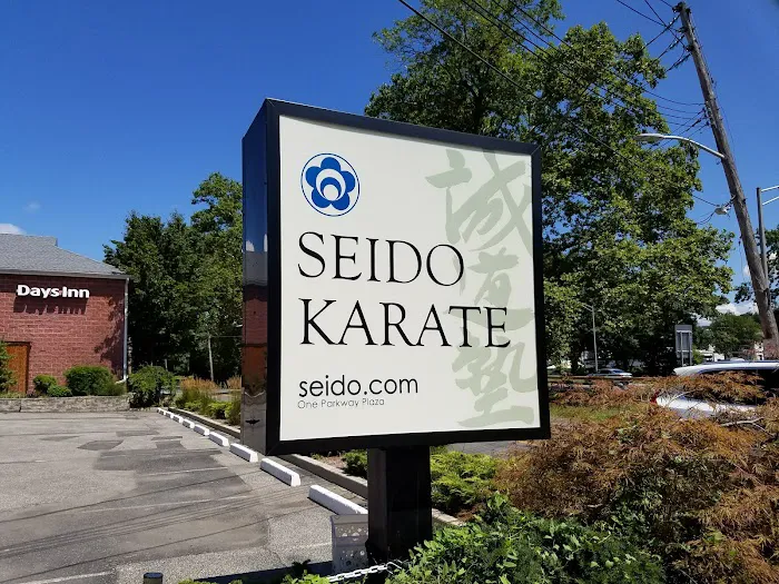 World Seido Karate Organization Picture 3