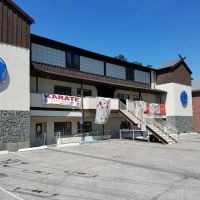 World Seido Karate Organization ico