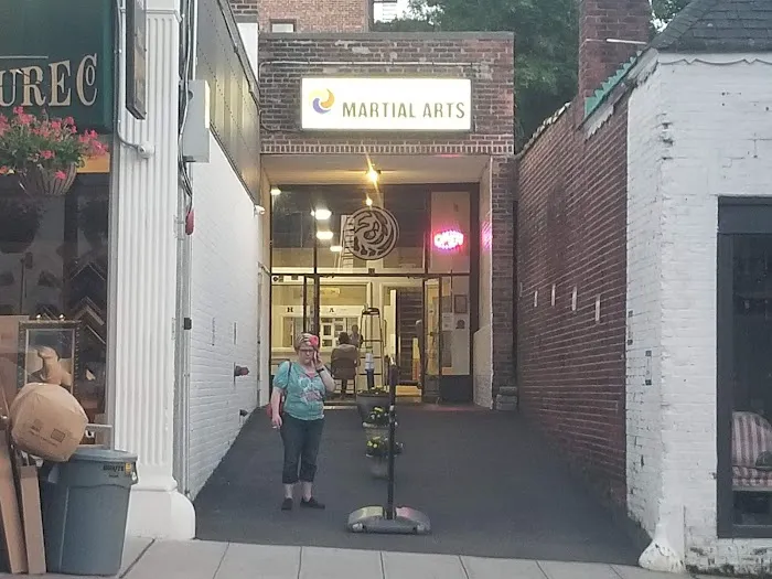 Hong-Ik Martial Arts Picture 2