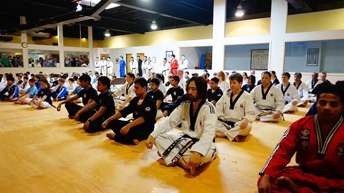 Hong-Ik Martial Arts Picture 1