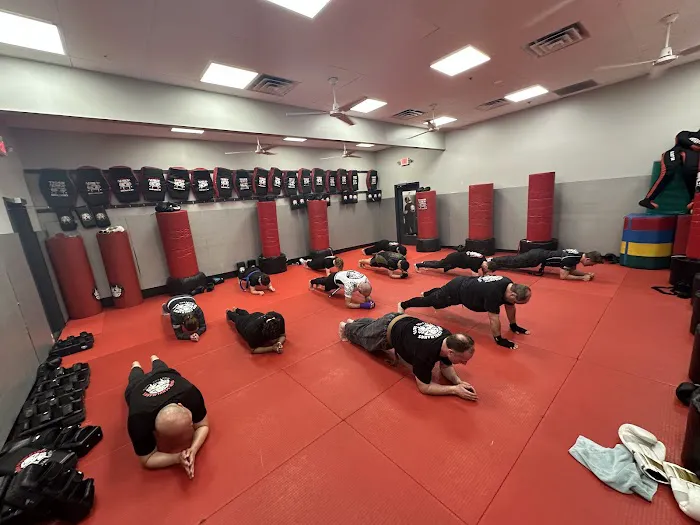 Tiger Schulmann's Martial Arts (Nanuet, NY) Picture 4