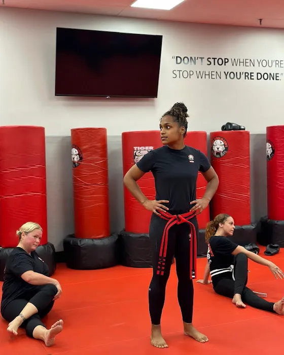 Tiger Schulmann's Martial Arts (Nanuet, NY) Picture 5