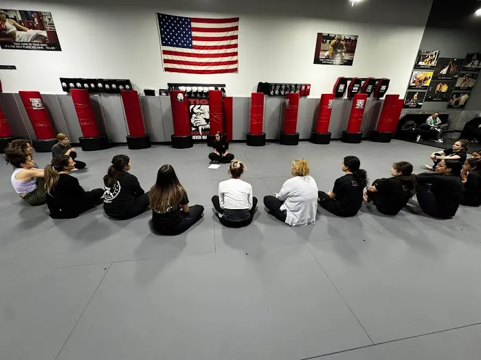 Tiger Schulmann's Martial Arts (Nanuet, NY) Picture 9