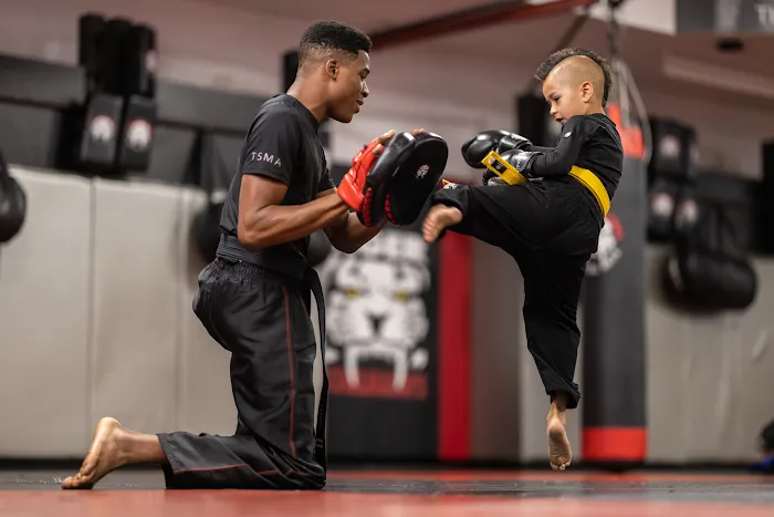 Tiger Schulmann's Martial Arts (Nanuet, NY) Picture 10